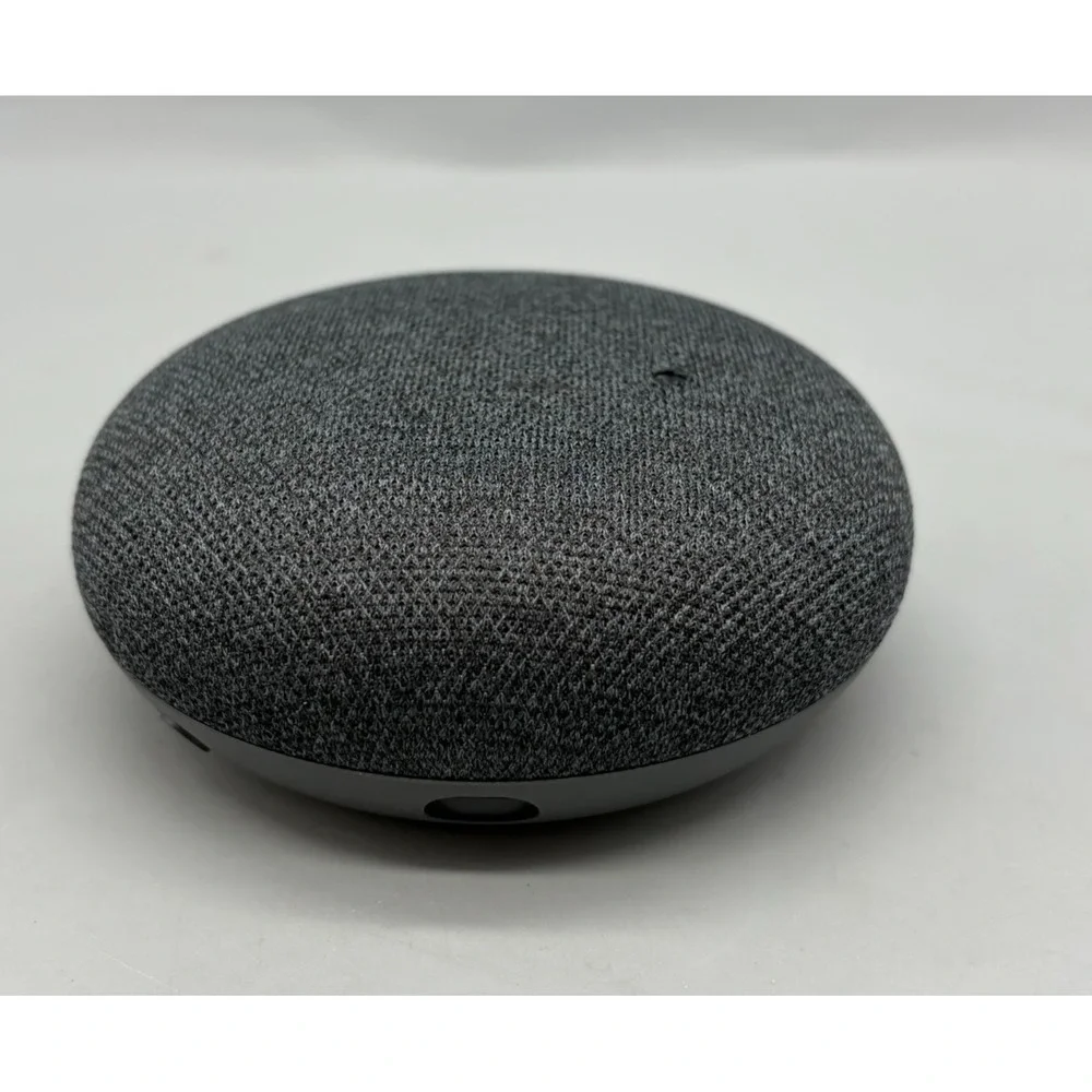 google includes speaker